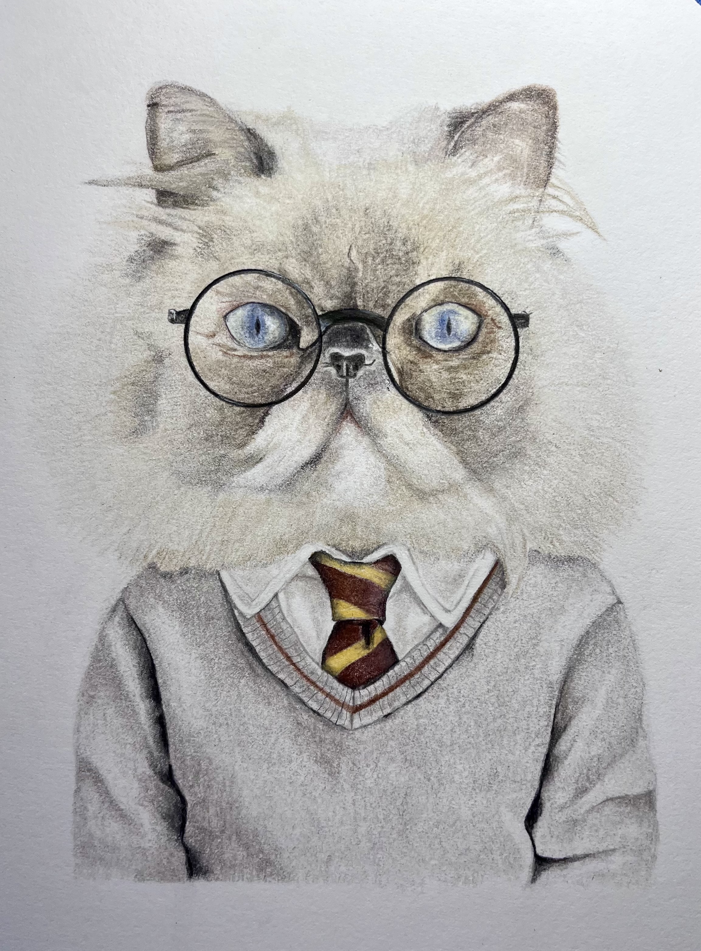 Harry Potter Pet Portrait