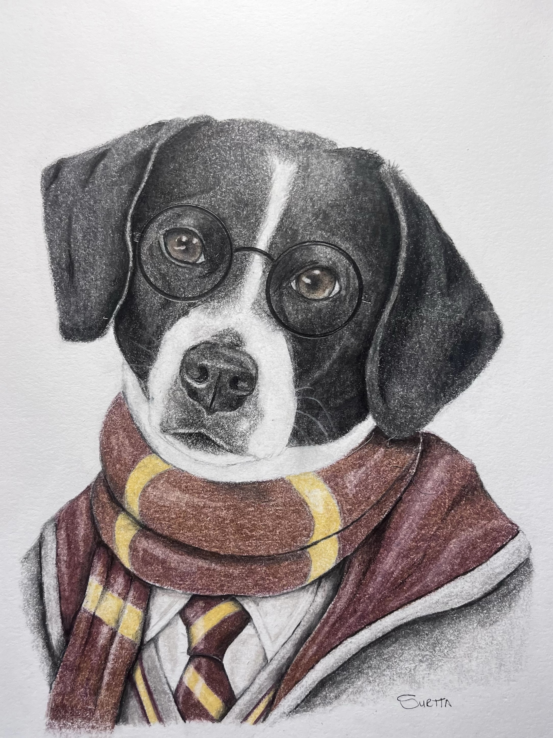 Pencil sketch of pet