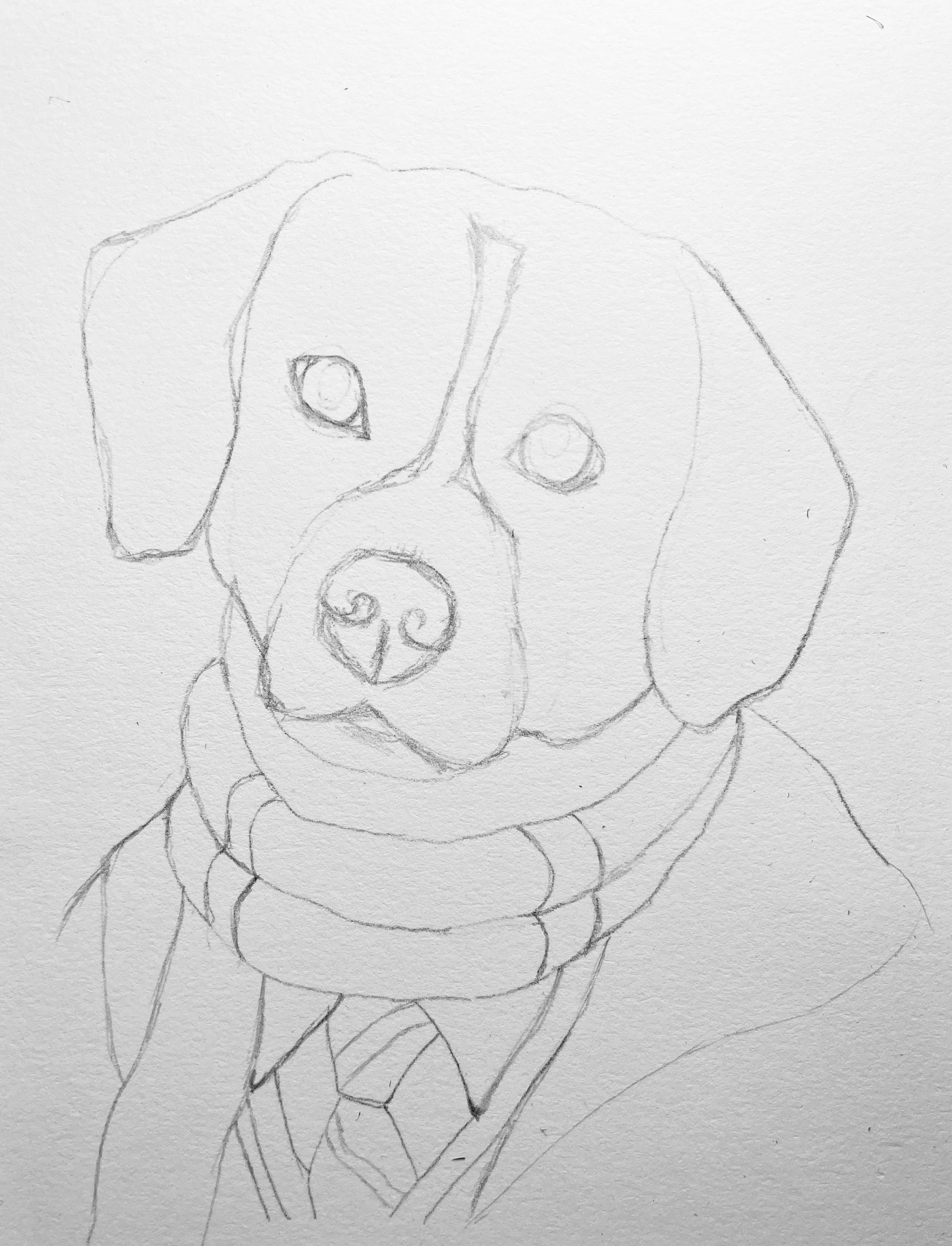 Finished whimsical pet portrait